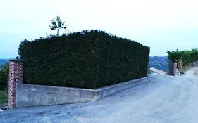 A 2,5 Km Dal Centro Di Alba Con Vista Sulle Langhe